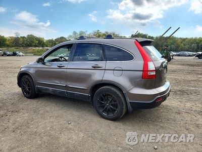 Drugie zdjęcie samochodu z przodu: 2009 HONDA CR-V EXL VIN:5J6RE48739L034571 - miniatura