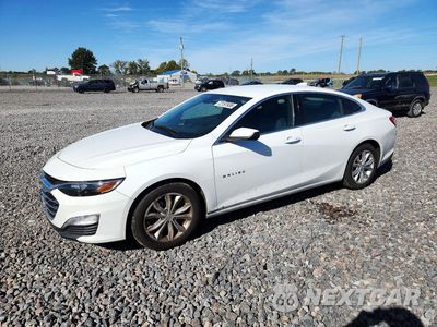 2020 CHEVROLET MALIBU LT 1G1ZD5ST3LF026733 - główne zdjęcie licytacji z USA - miniatura