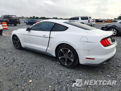 Drugie zdjęcie samochodu z przodu: 2018 FORD MUSTANG VIN:1FA6P8TH8J5110682 - miniatura