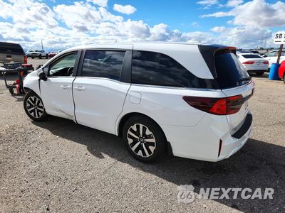 Drugie zdjęcie samochodu z przodu: 2026 HONDA ODYSSEY EXL VIN:5FNRL6H65TB027002 - miniatura