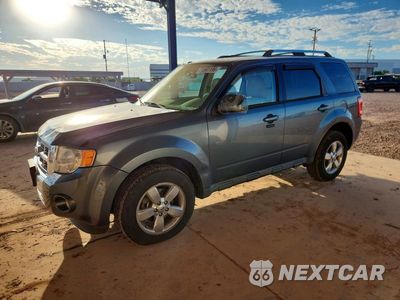 2010 FORD ESCAPE LIMITED 1FMCU0EG9AKD05392 - główne zdjęcie licytacji z USA - miniatura