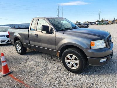 Czwarte zdjęcie samochodu z boku: 2004 FORD F150 VIN:1FTRF12W44NC72623 - miniatura