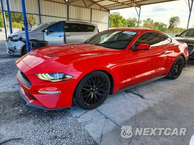 2019 FORD MUSTANG 1FA6P8TH0K5172496 - główne zdjęcie licytacji z USA - miniatura