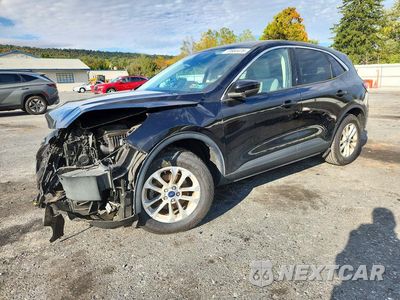 2020 FORD ESCAPE SE 1FMCU9G64LUC48731 - główne zdjęcie licytacji z USA - miniatura