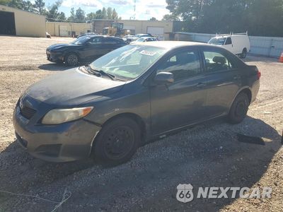 2010 TOYOTA COROLLA LE 1NXBU4EE8AZ290504 - główne zdjęcie licytacji z USA - miniatura