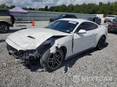 2019 FORD MUSTANG 1FA6P8TH0K5184731 - główne zdjęcie licytacji z USA - miniatura