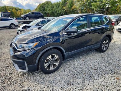 2020 HONDA CR-V LX 2HKRW2H28LH660401 - główne zdjęcie licytacji z USA - miniatura