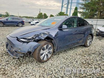 2023 TESLA MODEL Y 7SAYGDEE5PA039057 - główne zdjęcie licytacji z USA - miniatura