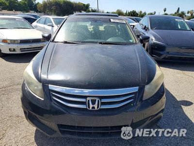 Piąte zdjęcie samochodu w środku: 2011 HONDA ACCORD EXL VIN:1HGCP3F88BA014427 - miniatura