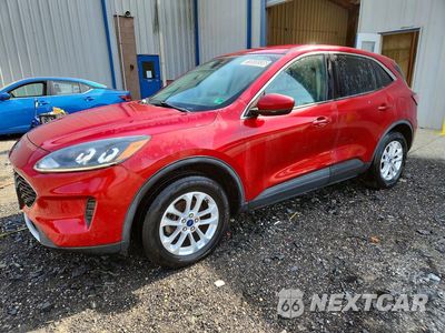 2020 FORD ESCAPE SE 1FMCU9G64LUA89371 - główne zdjęcie licytacji z USA - miniatura