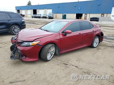 2020 TOYOTA CAMRY XLE 4T1F31AK8LU528966 - główne zdjęcie licytacji z USA - miniatura