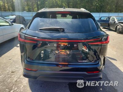 Zdjęcie 6 z 14 samochodu: 2022 LEXUS NX 250 VIN:2T2GDCAZ6NC002622 - miniatura