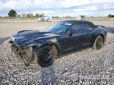 2017 FORD MUSTANG 1FATP8UH8H5295196 - główne zdjęcie licytacji z USA - miniatura