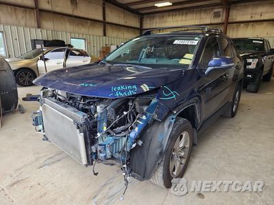 2025 TOYOTA RAV4 XLE 2T3W1RFV6SW431987 - główne zdjęcie licytacji z USA - miniatura