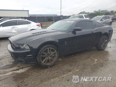 2014 FORD MUSTANG GT 1ZVBP8CF0E5288922 - główne zdjęcie licytacji z USA - miniatura
