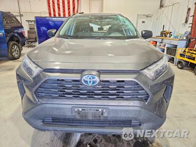 Piąte zdjęcie samochodu w środku: 2024 TOYOTA RAV4 LE VIN:4T3LWRFVXRU139161 - miniatura