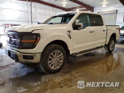 2024 FORD F150 XLT 1FTFW3L84RKE37772 - główne zdjęcie licytacji z USA - miniatura