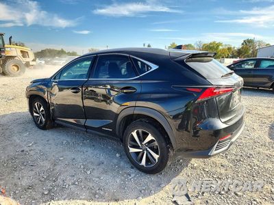 Drugie zdjęcie samochodu z przodu: 2018 LEXUS NX 300H VIN:JTJBJRBZ7J2092345 - miniatura