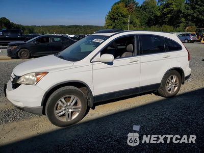 2010 HONDA CR-V EXL JHLRE3H71AC006095 - główne zdjęcie licytacji z USA - miniatura