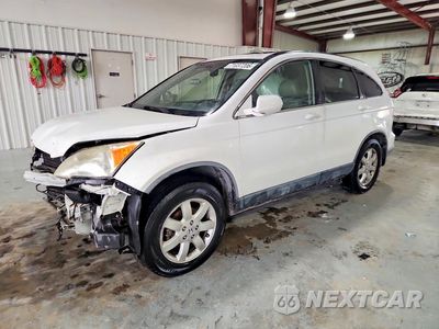 2007 HONDA CR-V EXL JHLRE38707C077362 - główne zdjęcie licytacji z USA - miniatura