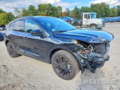 Czwarte zdjęcie samochodu z boku: 2024 FORD ESCAPE ST LINE ELITE VIN:1FMCU9PZ7RUB14623 - miniatura