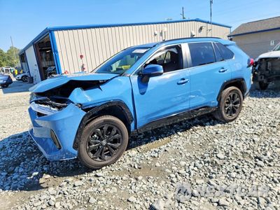 2024 TOYOTA RAV4 SE 4T3T6RFV8RU157822 - główne zdjęcie licytacji z USA - miniatura