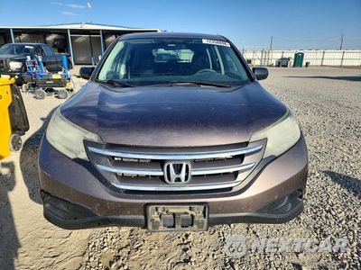 Piąte zdjęcie samochodu w środku: 2014 HONDA CR-V LX VIN:2HKRM4H31EH689431 - miniatura