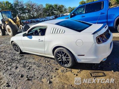 Drugie zdjęcie samochodu z przodu: 2014 FORD MUSTANG VIN:1ZVBP8AM0E5282104 - miniatura