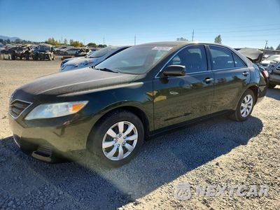 2010 TOYOTA CAMRY LE 4T1BF3EK4AU522316 - główne zdjęcie licytacji z USA - miniatura