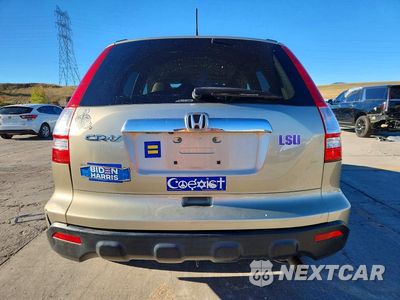 Zdjęcie 6 z 14 samochodu: 2008 HONDA CR-V EXL VIN:JHLRE48718C066717 - miniatura