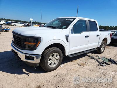 2024 FORD F150 XL 1FTFW1L55RKD66110 - główne zdjęcie licytacji z USA - miniatura