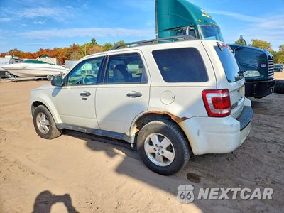 Drugie zdjęcie samochodu z przodu: 2011 FORD ESCAPE XLT VIN:1FMCU0DG4BKC59280 - miniatura