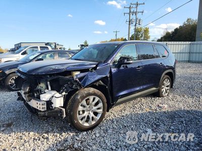 2025 TOYOTA GRAND HIGHLANDER HYBRID LIMITED 5TDACAB53SS062244 - główne zdjęcie licytacji z USA - miniatura