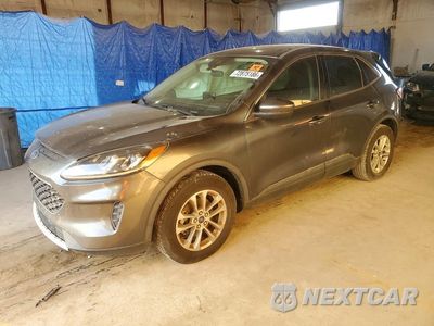 2020 FORD ESCAPE SE 1FMCU0G66LUA39454 - główne zdjęcie licytacji z USA - miniatura