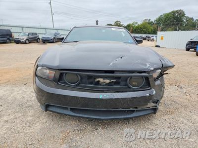 Piąte zdjęcie samochodu w środku: 2012 FORD MUSTANG GT VIN:1ZVBP8CF1C5202241 - miniatura