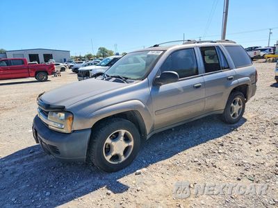 2007 CHEVROLET TRAILBLAZER LS 1GNDS13S572106058 - główne zdjęcie licytacji z USA - miniatura