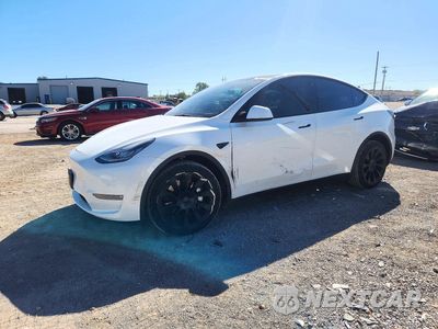 2022 TESLA MODEL Y 7SAYGDEE2NF481276 - główne zdjęcie licytacji z USA - miniatura