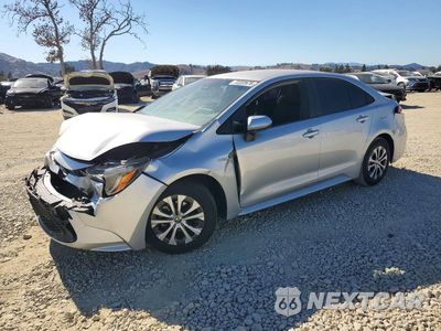 2021 TOYOTA COROLLA LE JTDEAMDE1MJ018846 - główne zdjęcie licytacji z USA - miniatura