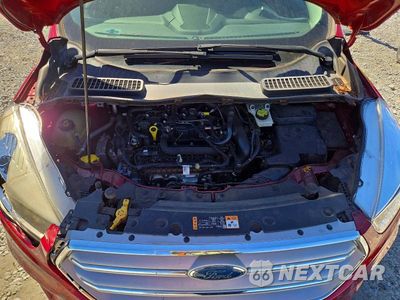 Zdjęcie 12 z 13 samochodu: 2019 FORD ESCAPE SE VIN:1FMCU0GD0KUA87609 - miniatura