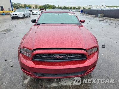 Piąte zdjęcie samochodu w środku: 2014 FORD MUSTANG VIN:1ZVBP8EM4E5331055 - miniatura
