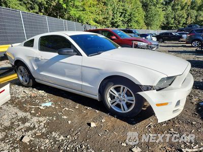 Czwarte zdjęcie samochodu z boku: 2013 FORD MUSTANG VIN:1ZVBP8AM0D5231488 - miniatura