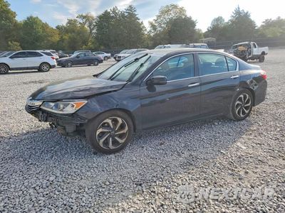 2016 HONDA ACCORD EX 1HGCR2F73GA029484 - główne zdjęcie licytacji z USA - miniatura