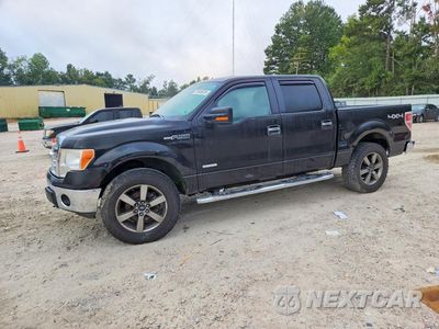 2013 FORD F150 SUPERCREW 1FTFW1ET6DFD89151 - główne zdjęcie licytacji z USA - miniatura