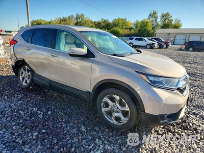 Czwarte zdjęcie samochodu z boku: 2019 HONDA CR-V EX VIN:2HKRW2H5XKH600886 - miniatura