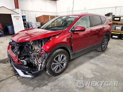2022 HONDA CR-V EXL 5J6RT6H83NL037894 - główne zdjęcie licytacji z USA - miniatura
