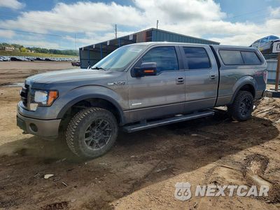 2013 FORD F150 SUPERCREW 1FTFW1ET2DFC50747 - główne zdjęcie licytacji z USA - miniatura