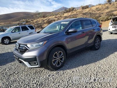 2022 HONDA CR-V EX 2HKRW2H56NH630455 - główne zdjęcie licytacji z USA - miniatura