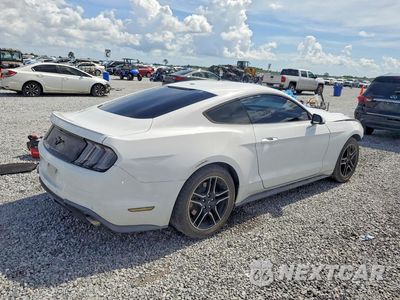 Trzecie zdjęcie samochodu z tyłu: 2019 FORD MUSTANG VIN:1FA6P8TH0K5184731 - miniatura