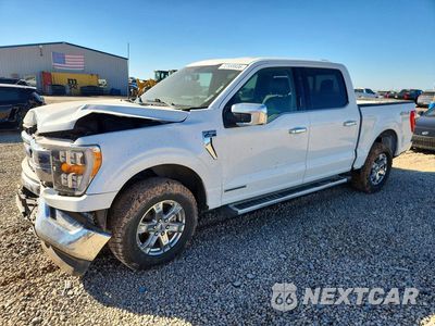 2023 FORD F150 SUPERCREW 1FTFW1ED2PFB40262 - główne zdjęcie licytacji z USA - miniatura