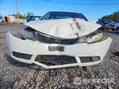 Piąte zdjęcie samochodu w środku: 2010 KIA FORTE EX VIN:KNAFU4A27A5129148 - miniatura